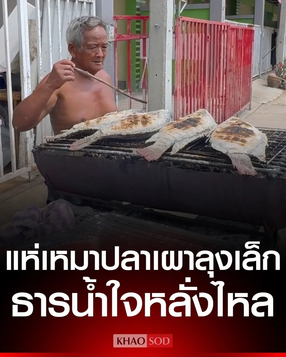 Tarot to youuuu tweet media