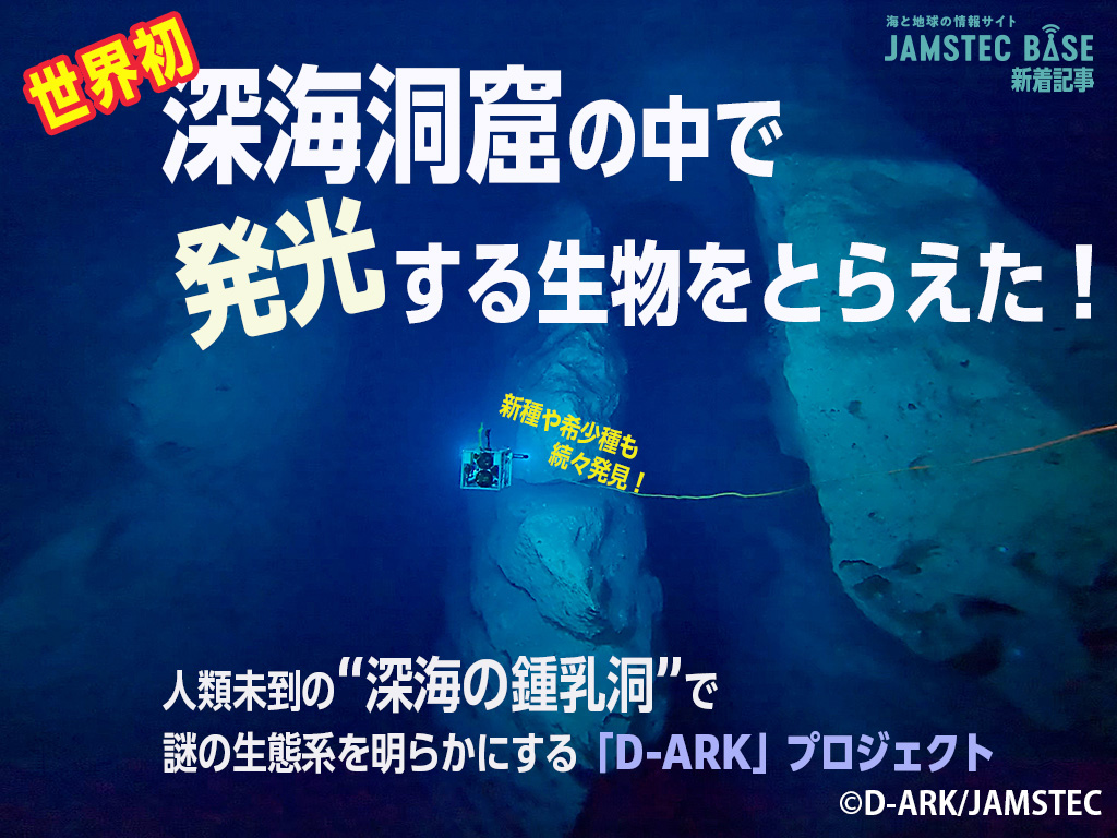 JAMSTEC 海洋研究開発機構 ＼海と地球の研究所／ tweet media