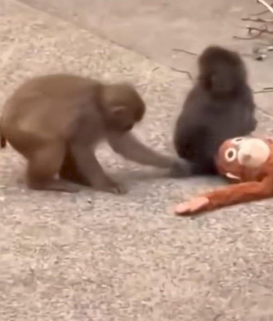 SharpTakes India tweet media