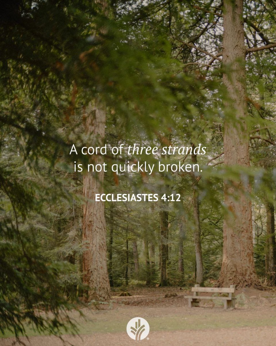 Sam ሳም ⚖️❤️💛💚 ⚖️ tweet media