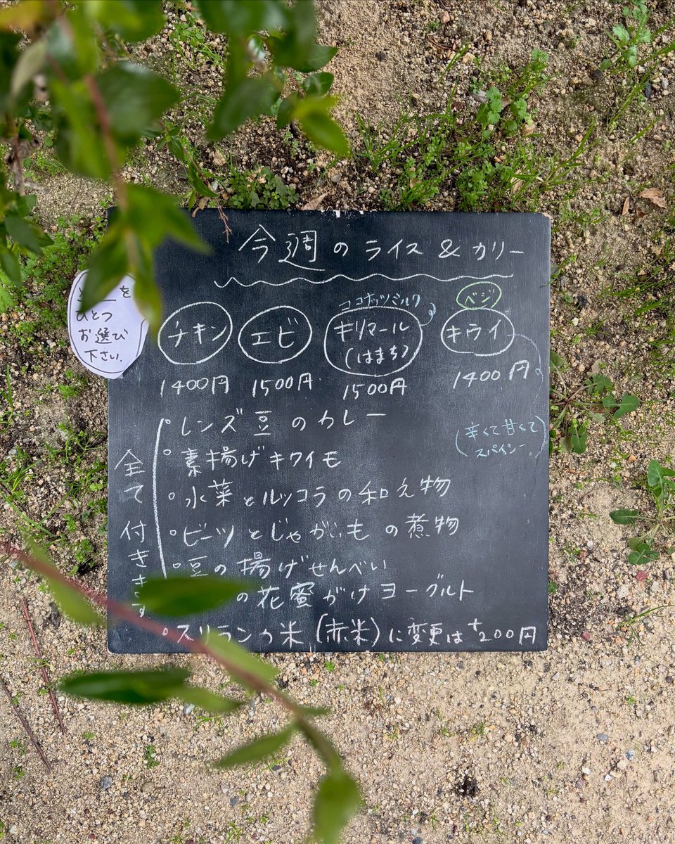 カラピンチャ Karapincha tweet media