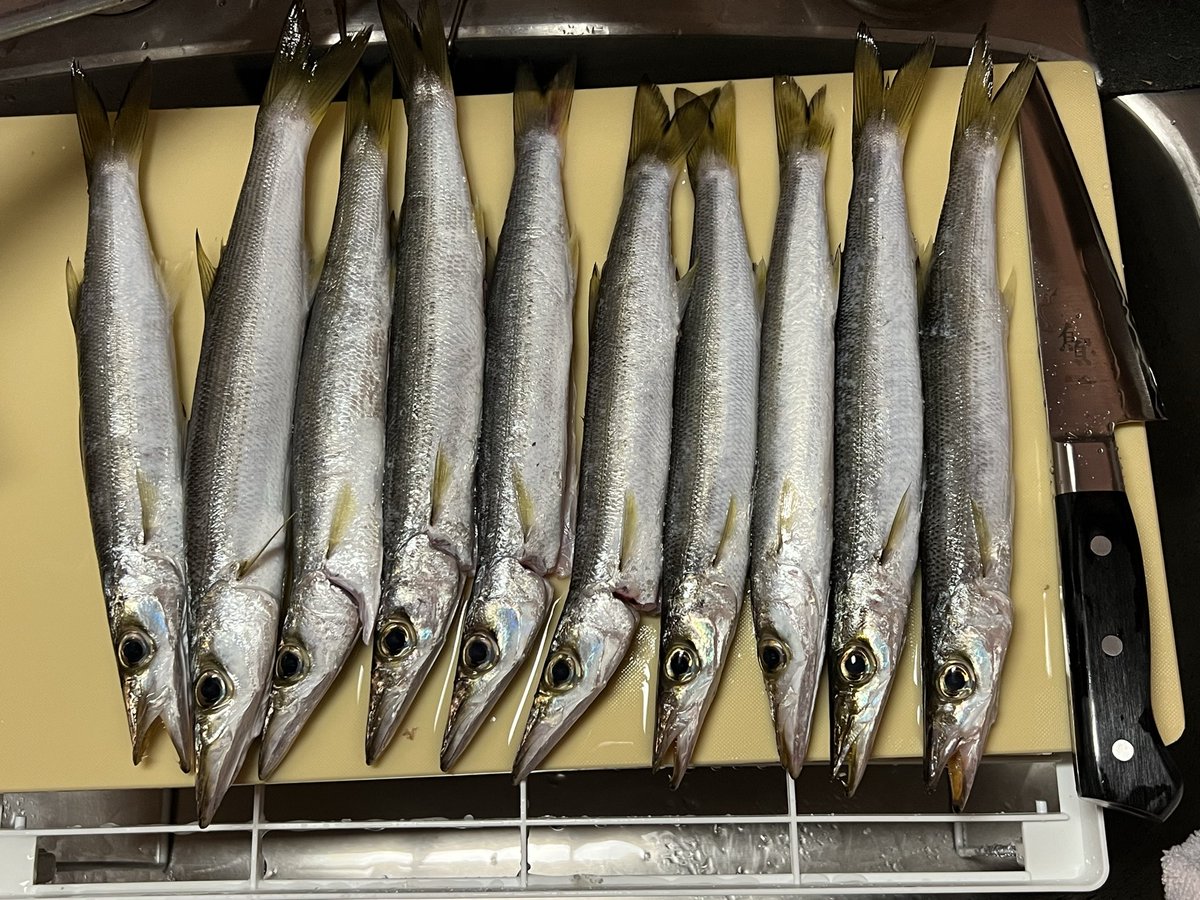 釣りキチ tweet media