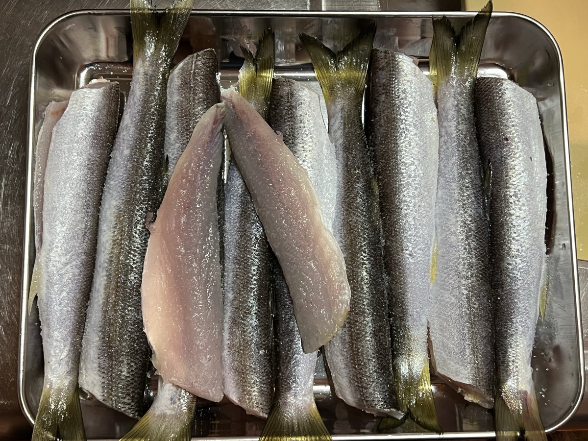 釣りキチ tweet media