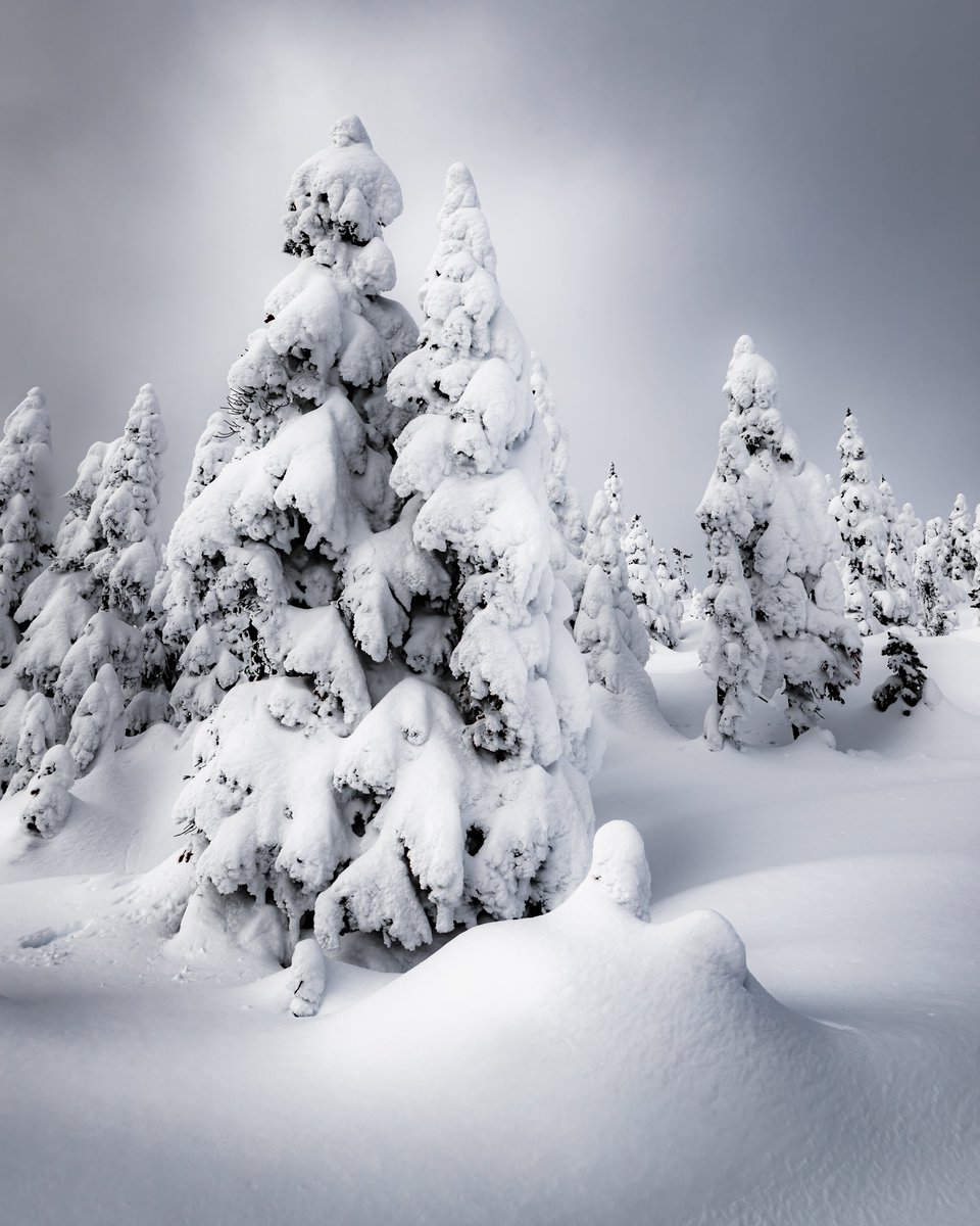 Intrepid tweet media