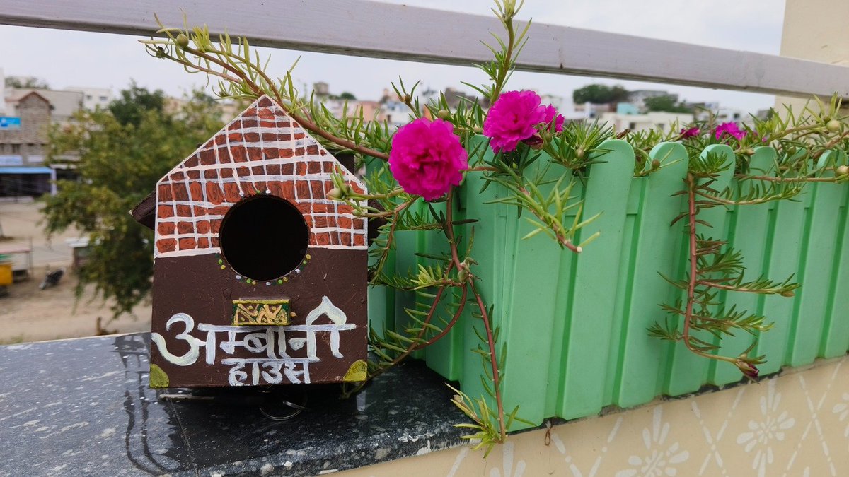 🅱️HAVANA PALIWAL tweet media