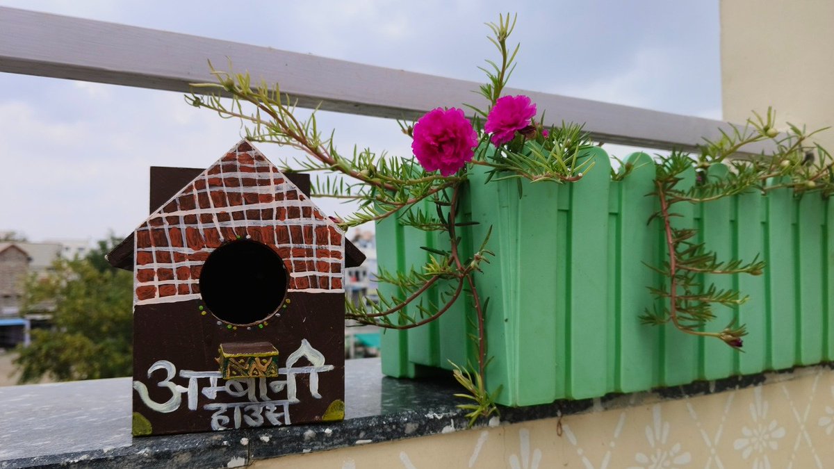 🅱️HAVANA PALIWAL tweet media