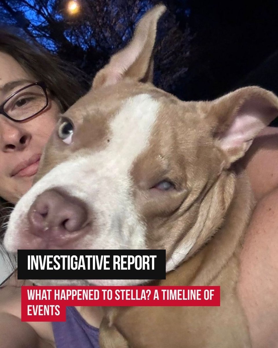 Paul Mueller tweet media