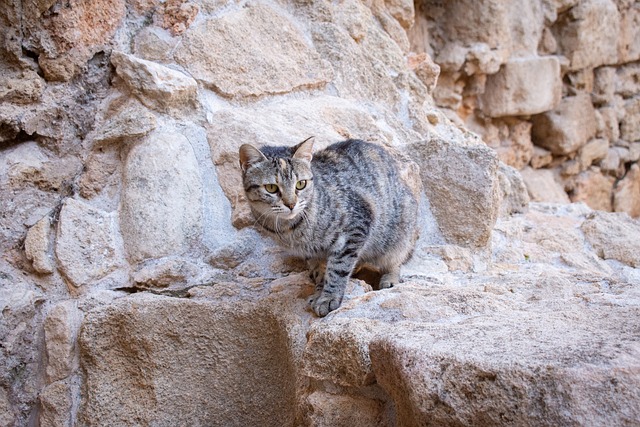 Dana Long tweet media