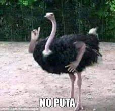 Lic. Transfobico tweet media