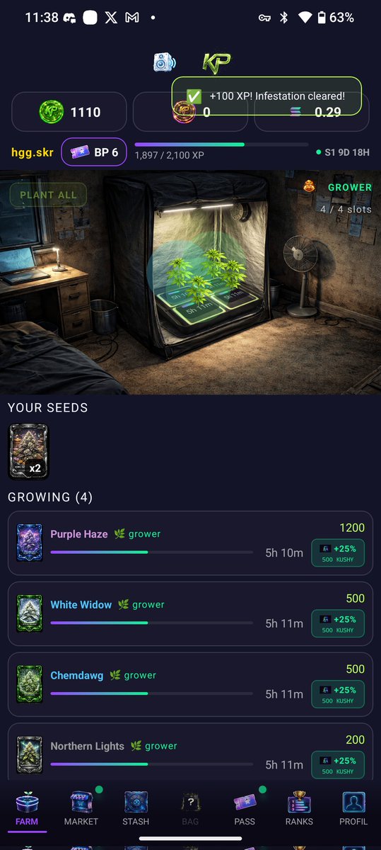 $Dmt-Nat tweet media