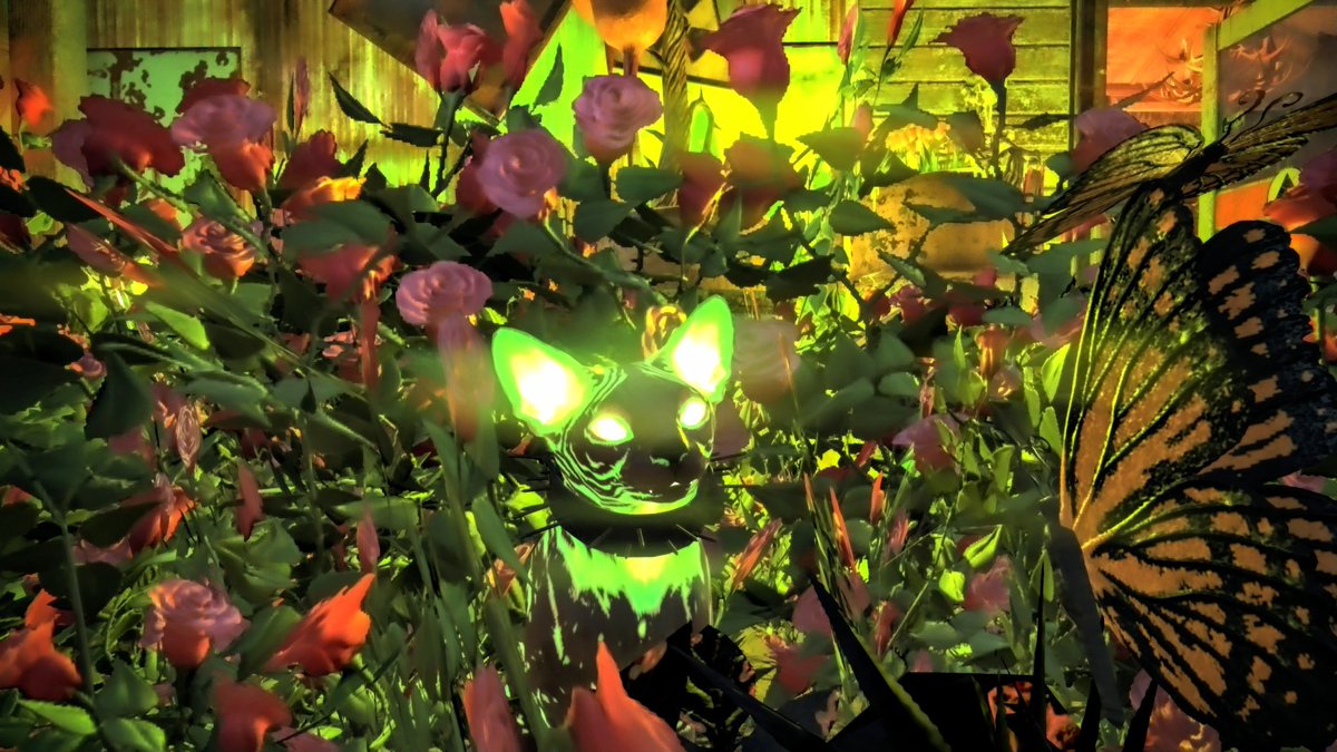 ☢️EL Jorge☢️ tweet media