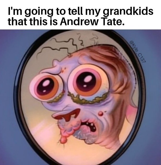 KylesDankLibertyMemeStash tweet media