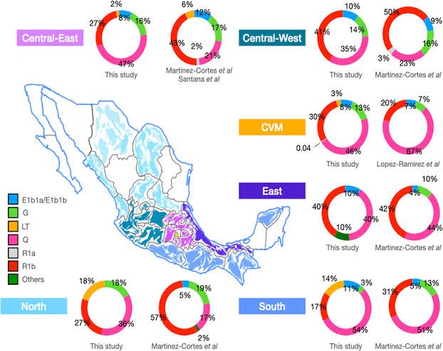 Revolucion Nacional Anahuaquista (RNA) ᛝ tweet media