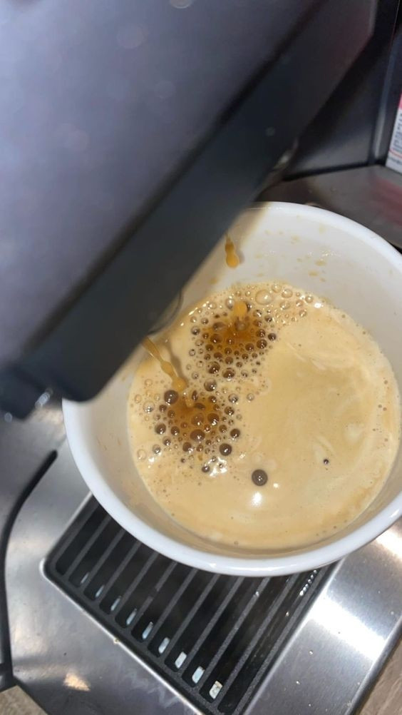 Bea mit Hündin Tess 🐾🐕 tweet media