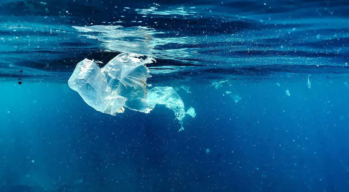 Masas de plásticos flotantes, llamadas islas de plásticos, son responsables de la contaminación de los océanos, mientras que todo tipo de plásticos de un solo uso aparecen en ciudades, bosques, ríos, playas e, incluso, en el interior de animales.