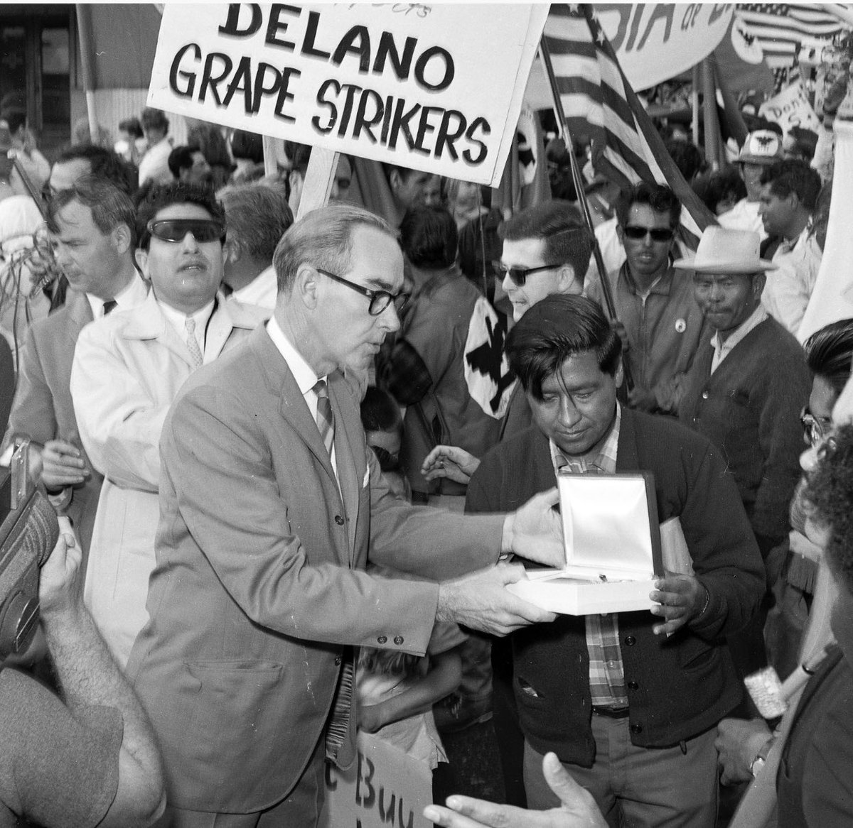 stevelarge tweet media