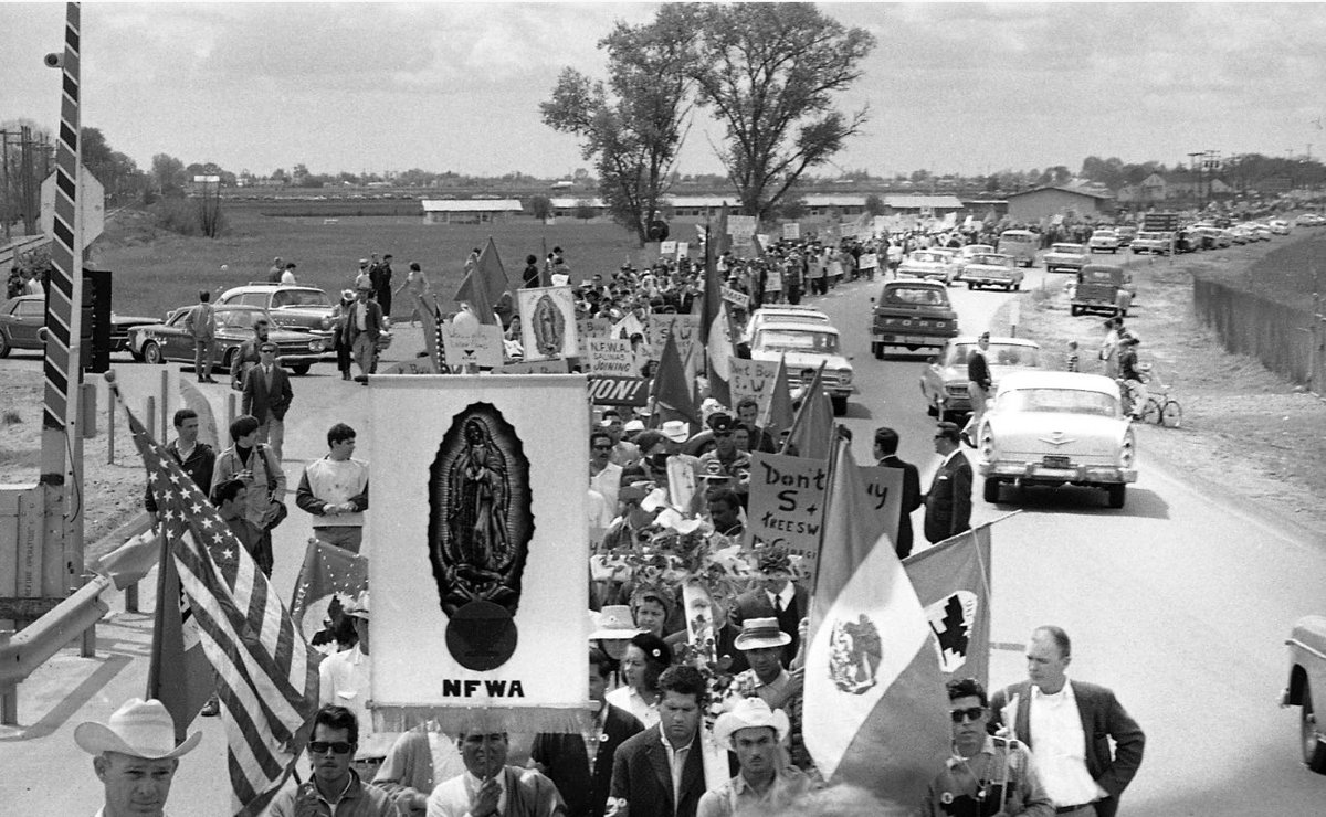 stevelarge tweet media