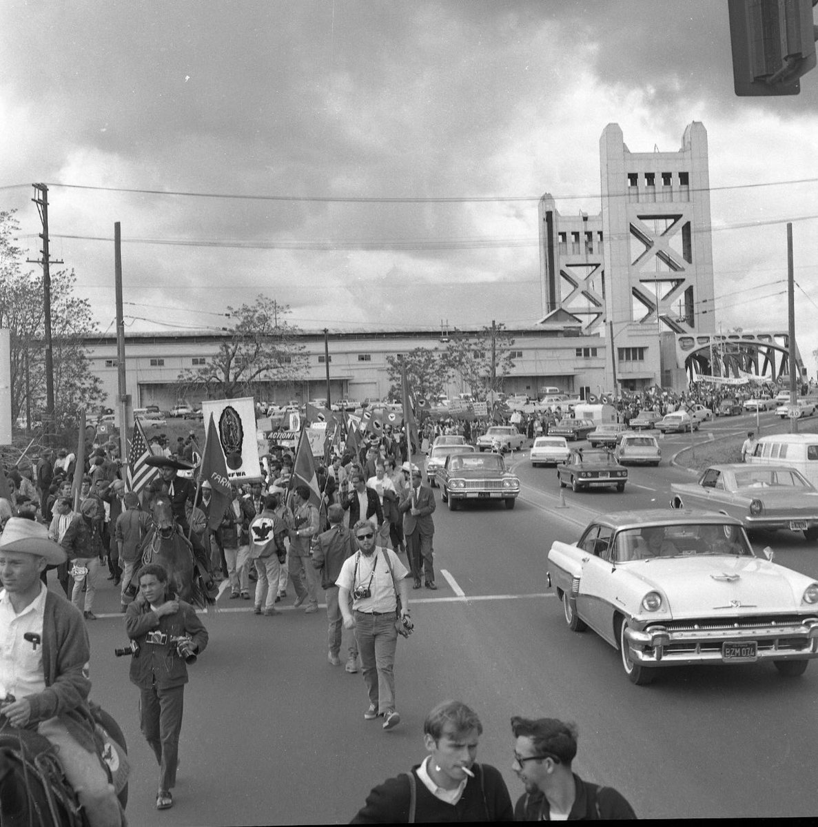 stevelarge tweet media