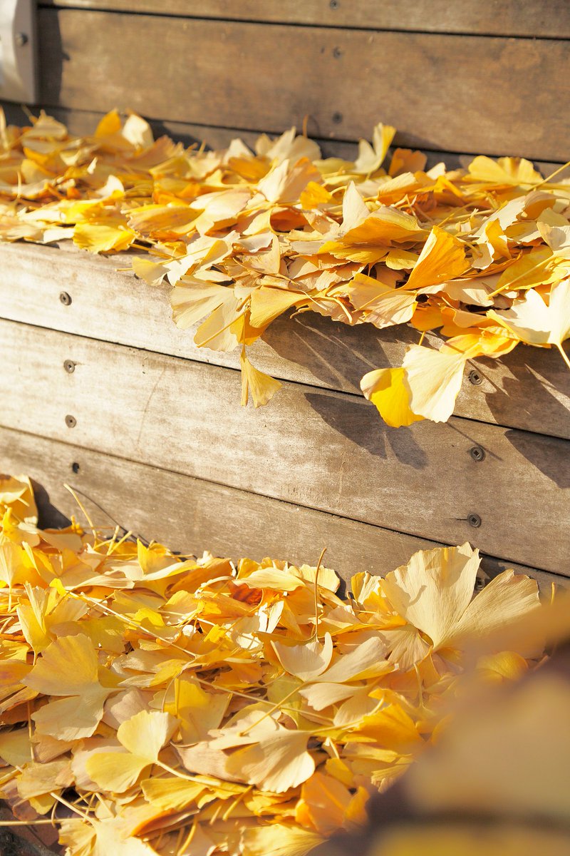 Michael Quarrles Jr. tweet media