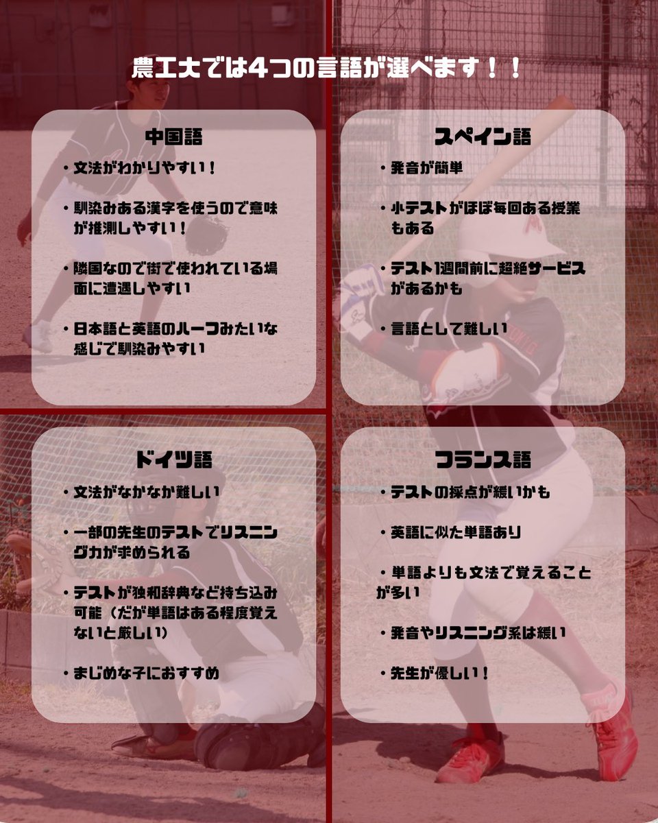 nokobaseball20's tweet photo. 新入生の皆さん！
第二外国語何にするか迷いますよね🤔➿
ぜひ参考にしてみてください！⚾️

 #春から農工大 https://t.co/yMzVhASThW