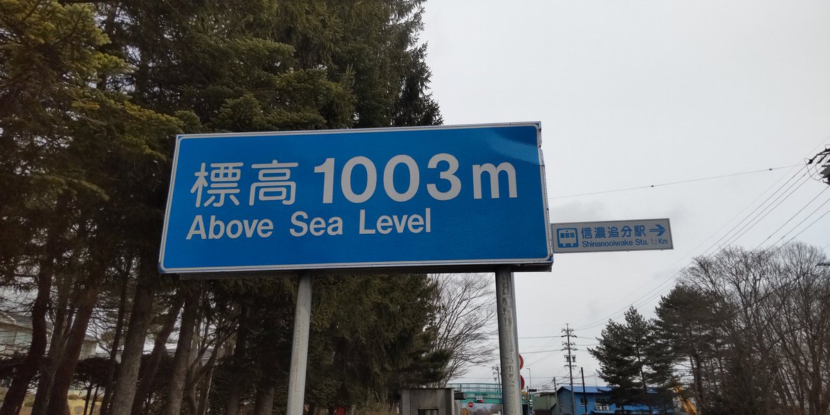 かねさい。。。 tweet media