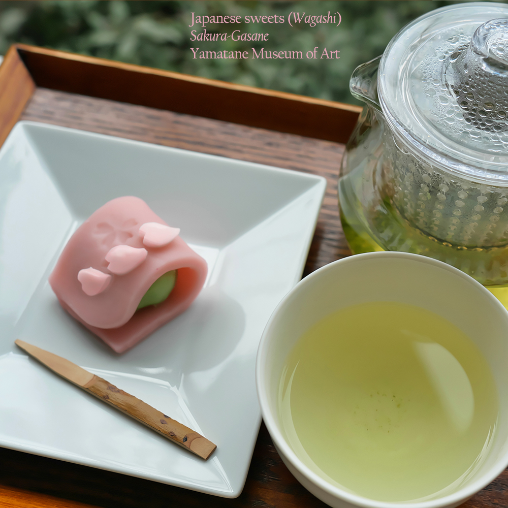 山種美術館 tweet media