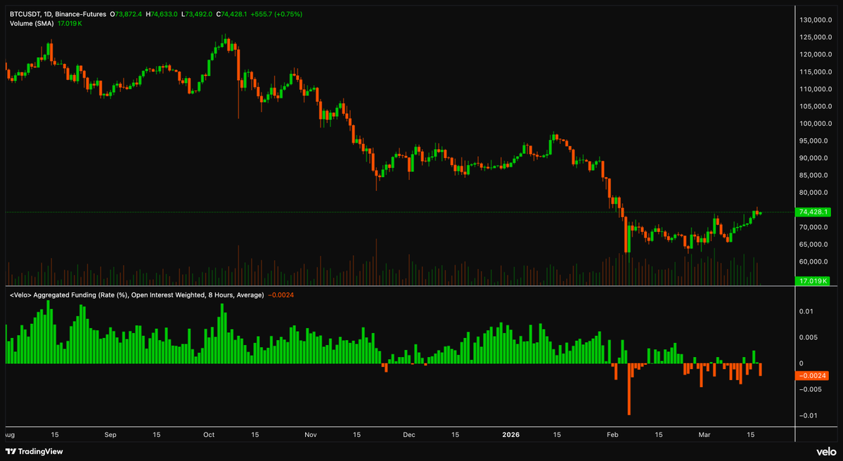 RightPulse tweet media