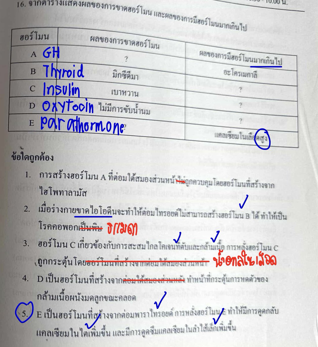 พี่บอล bioislike tweet media