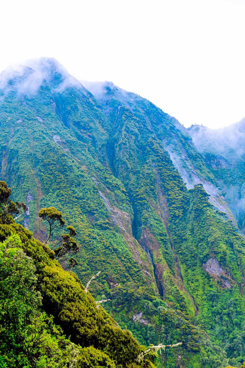 Tembera 250 (Travel 🇷🇼) tweet media