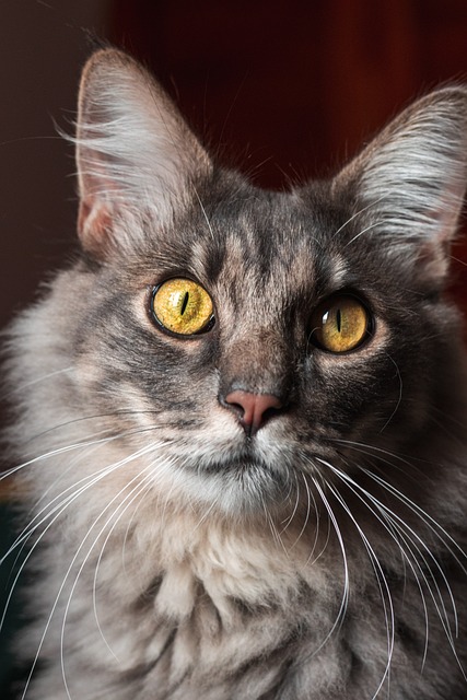 Jonathan Cardenas tweet media