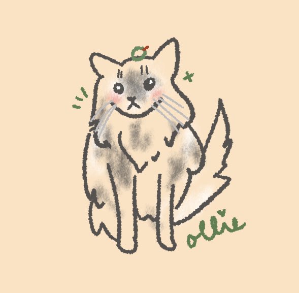 chrchie 🦎⭐️ lizard girl tweet media