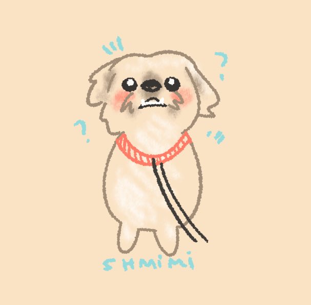 chrchie 🦎⭐️ lizard girl tweet media