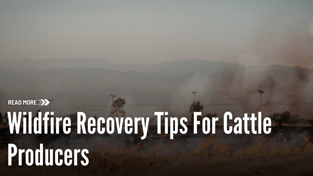 Farms.com Pork News tweet media