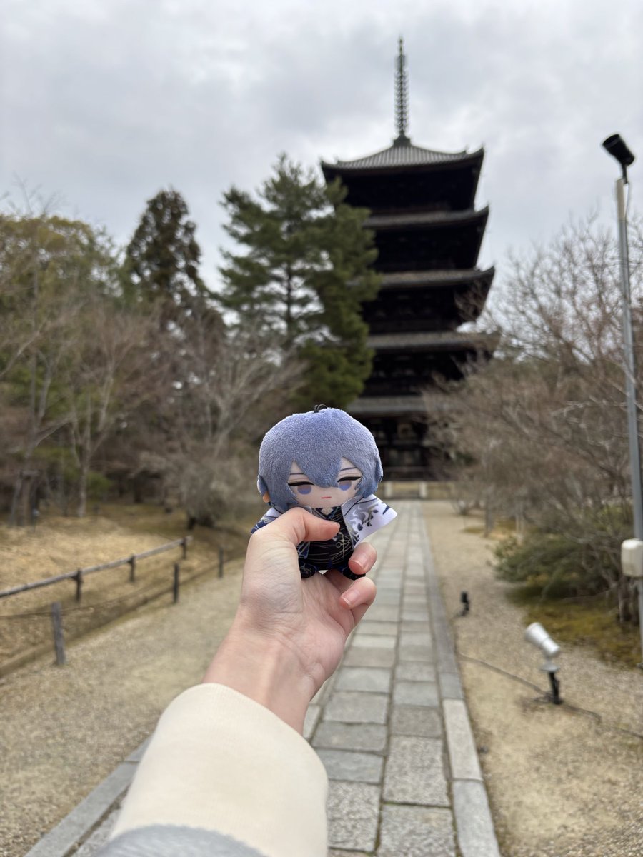 猫月@たまにネコ子 tweet media