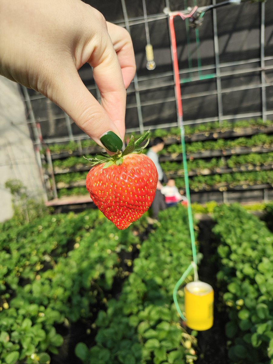 Nickolas Harris tweet media