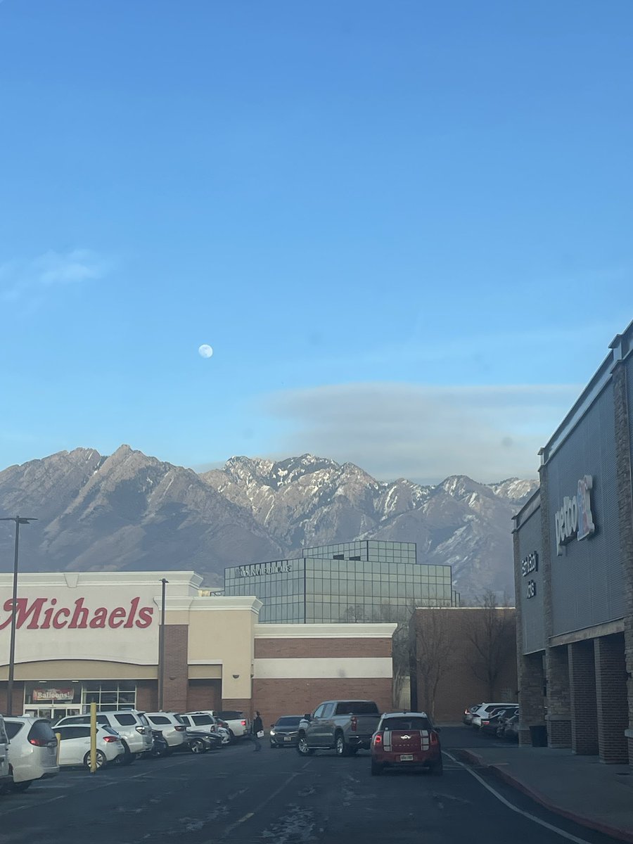 manders 🦎 tweet media