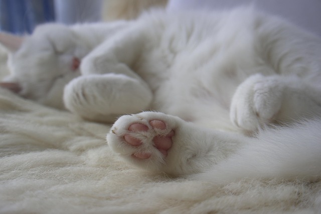 Victor Miller tweet media