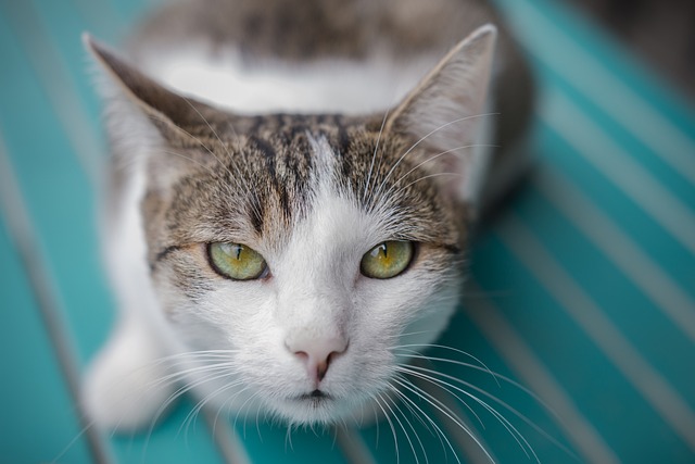 Armour Dixon tweet media