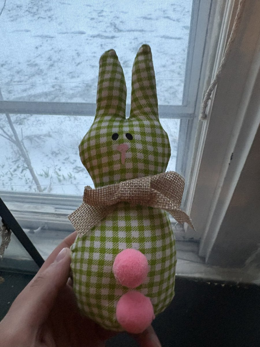 a kittyrat ! tweet media