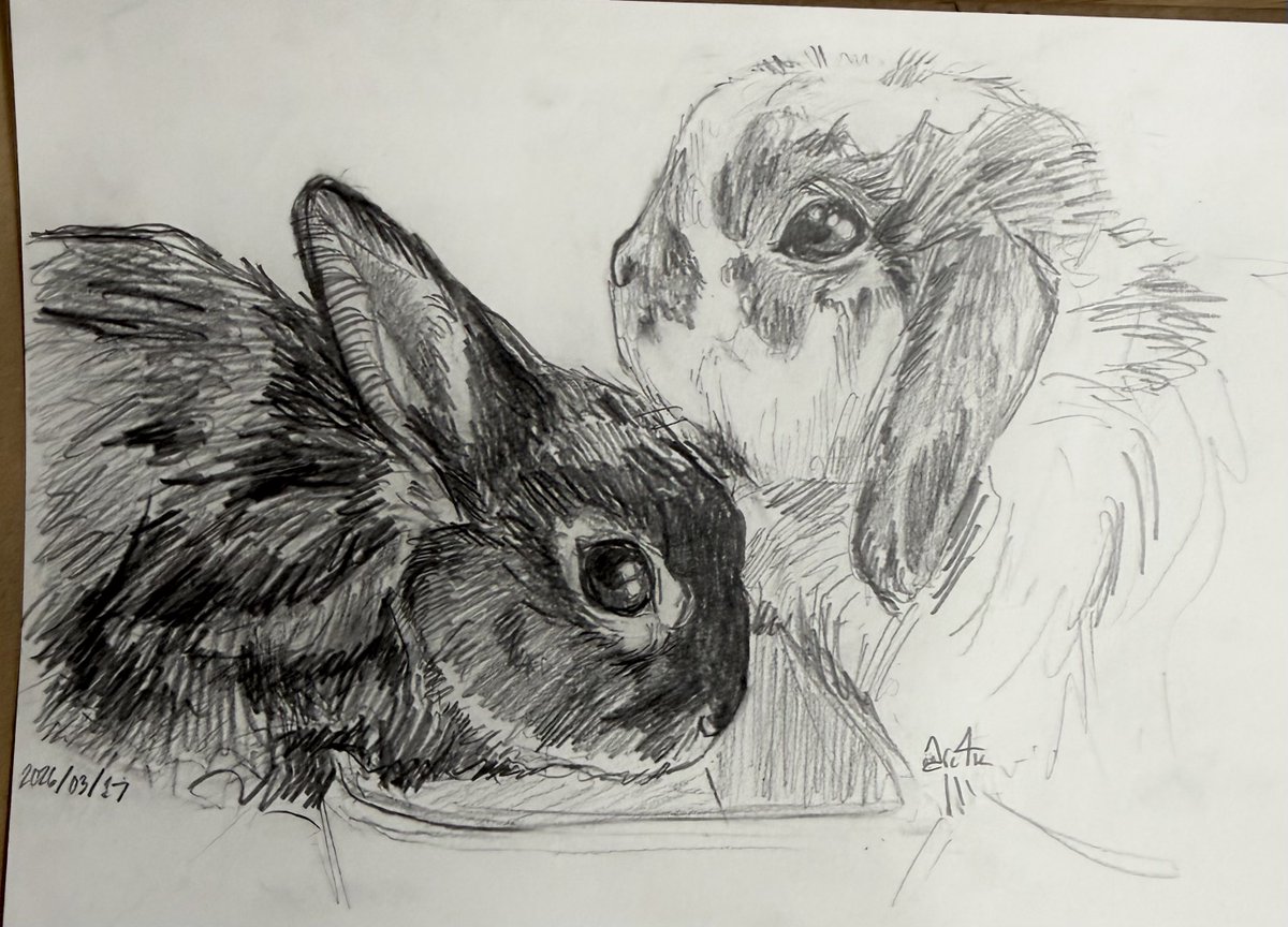 arcfourk's tweet photo. i drew your rabbits ^_^ 💕 they are very cute https://t.co/jhvEhlBUP2