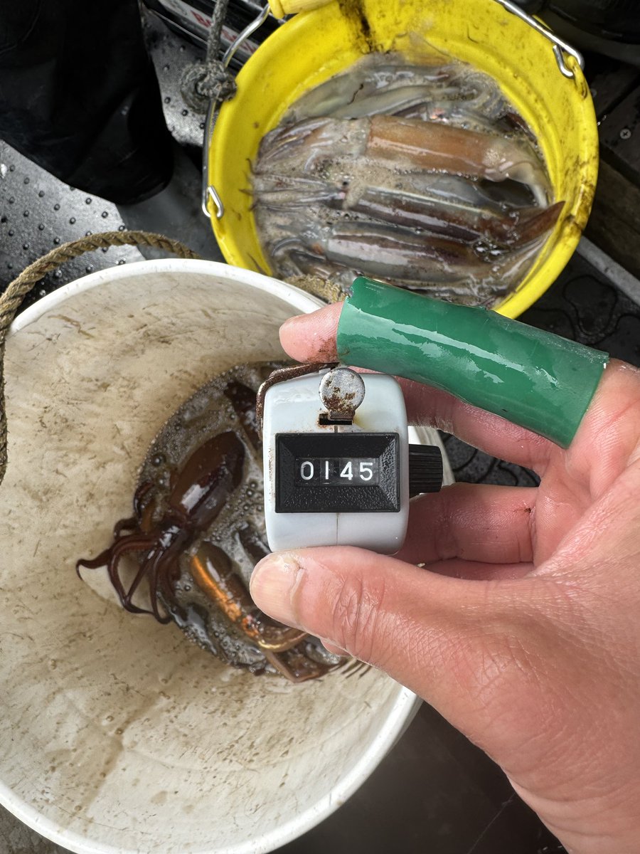 山中 陽介 tweet media