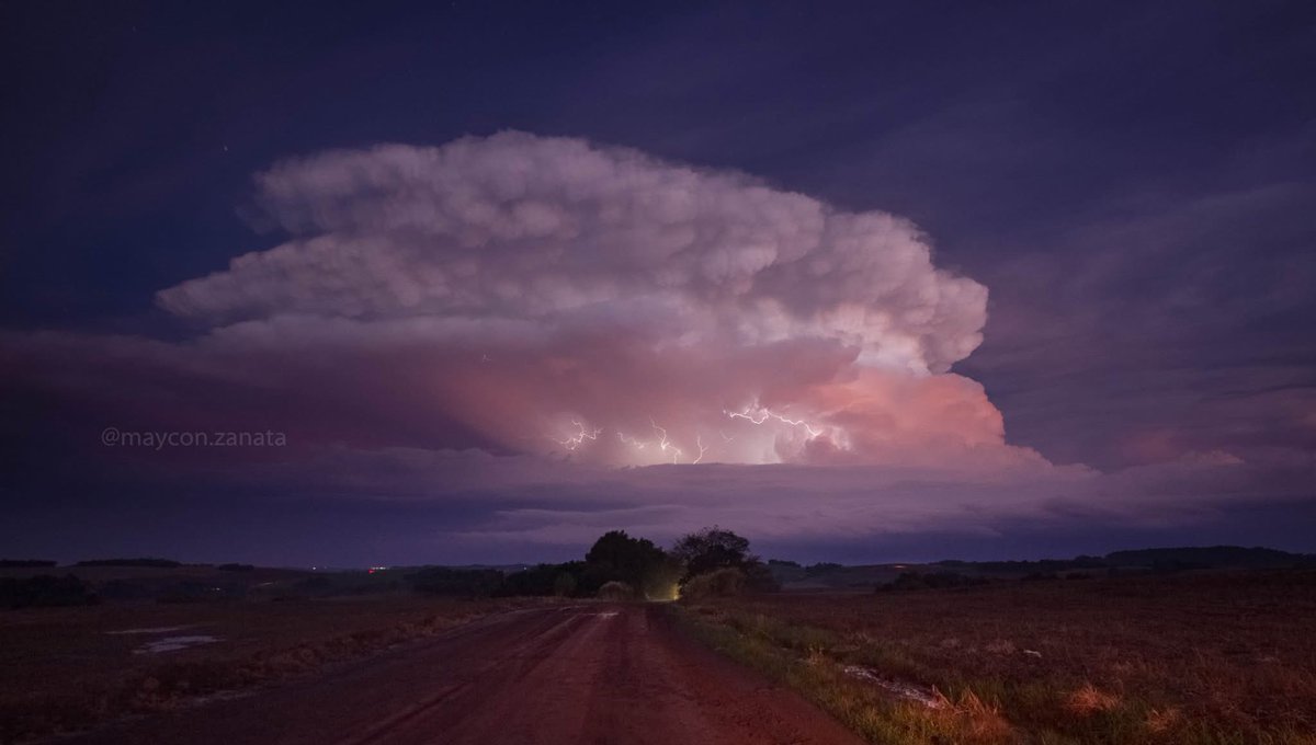 Vitor Goede 🇺🇦 tweet media