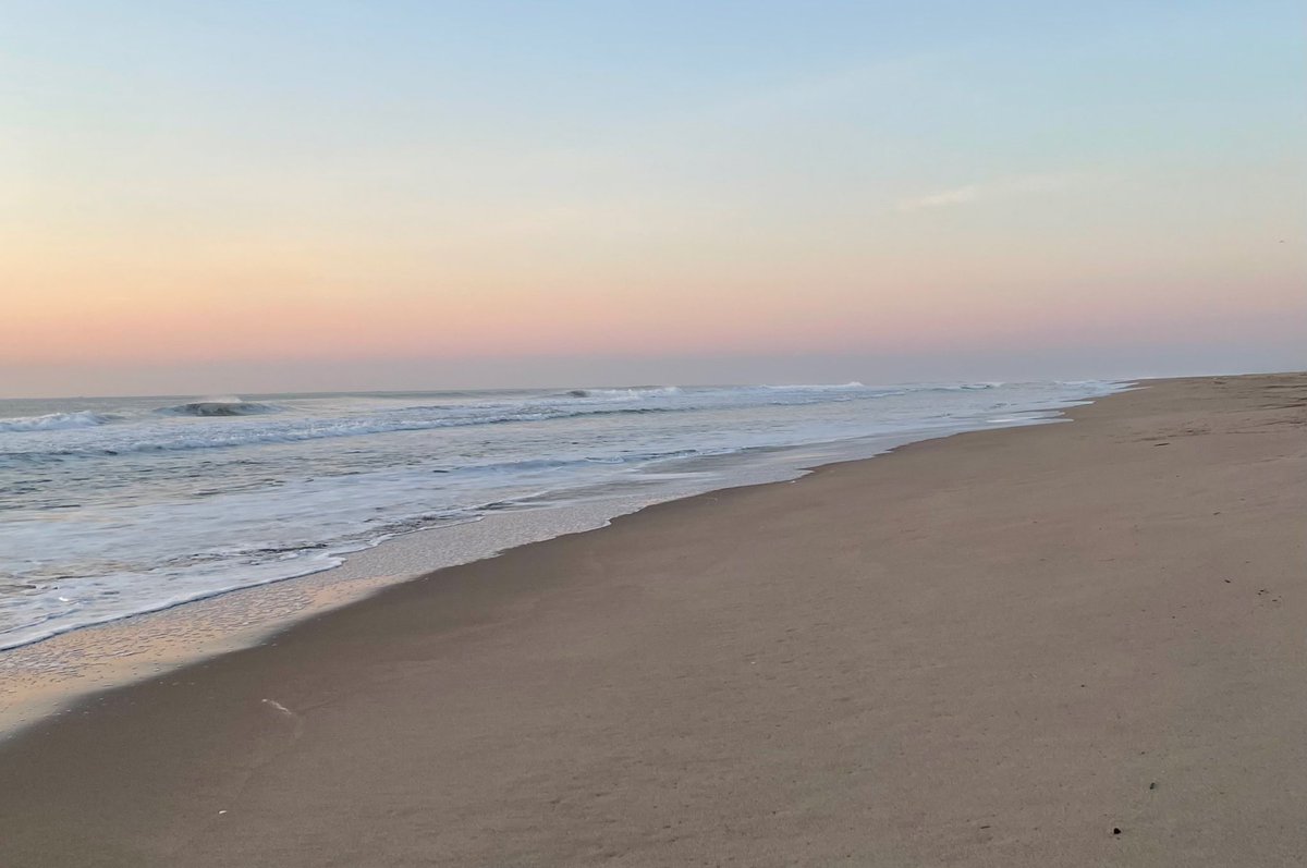 ⋆ ☄︎. ·˚ * ꙳ tweet media