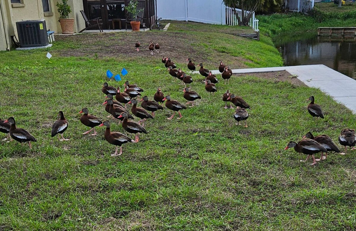 ₩îck̶êrm̶ân̶ tweet media