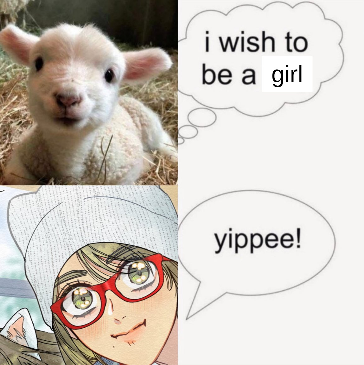 🛵 yura tweet media