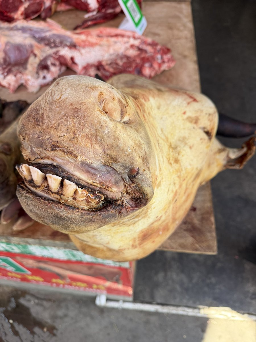 鬼鵝🌙 tweet media