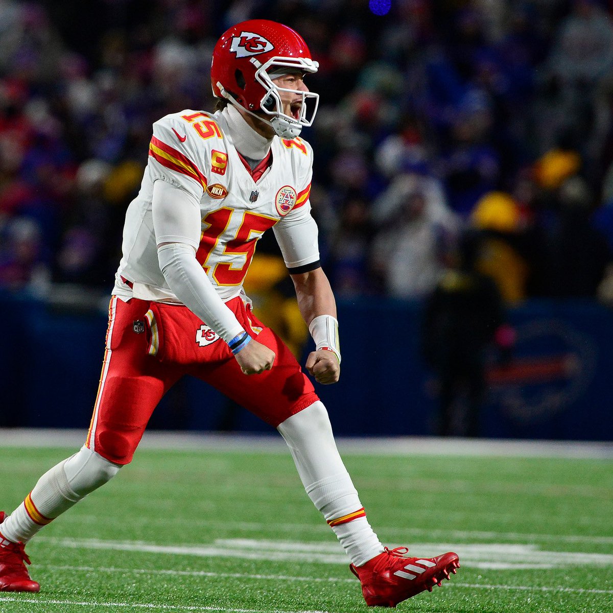 The Kingdom tweet media