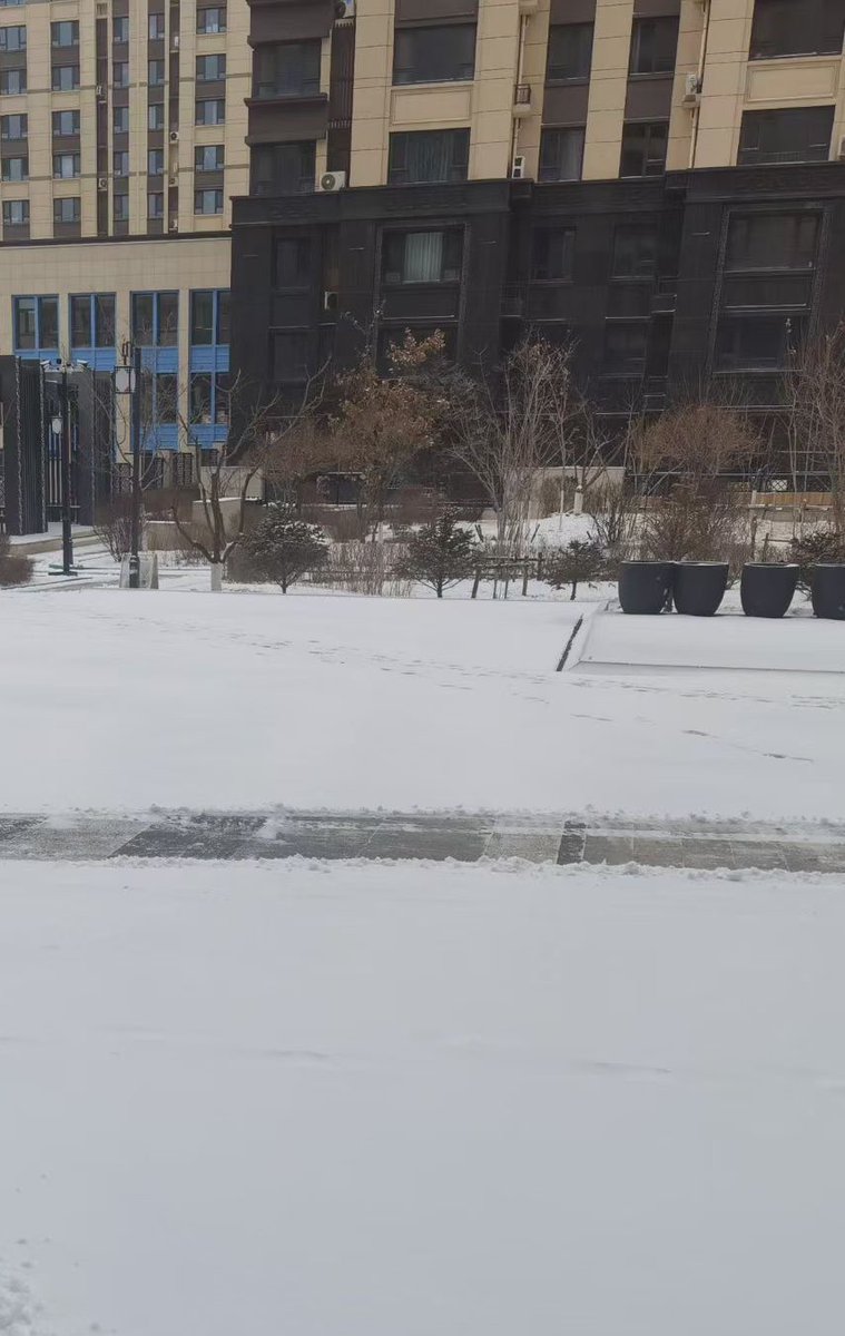 长春 磐涅 tweet media