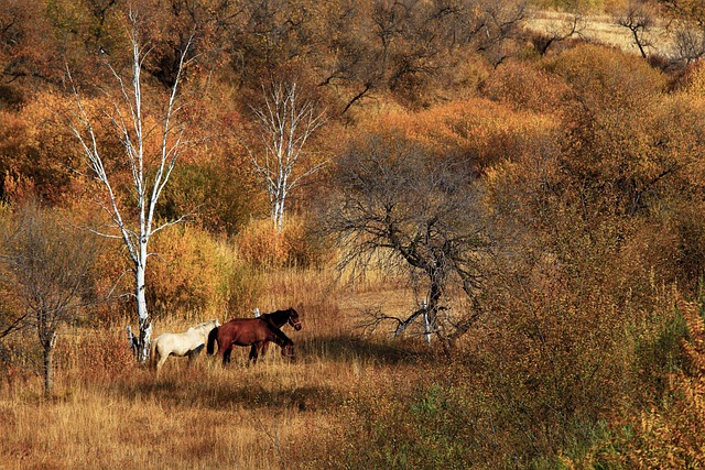 Sammy Shin tweet media