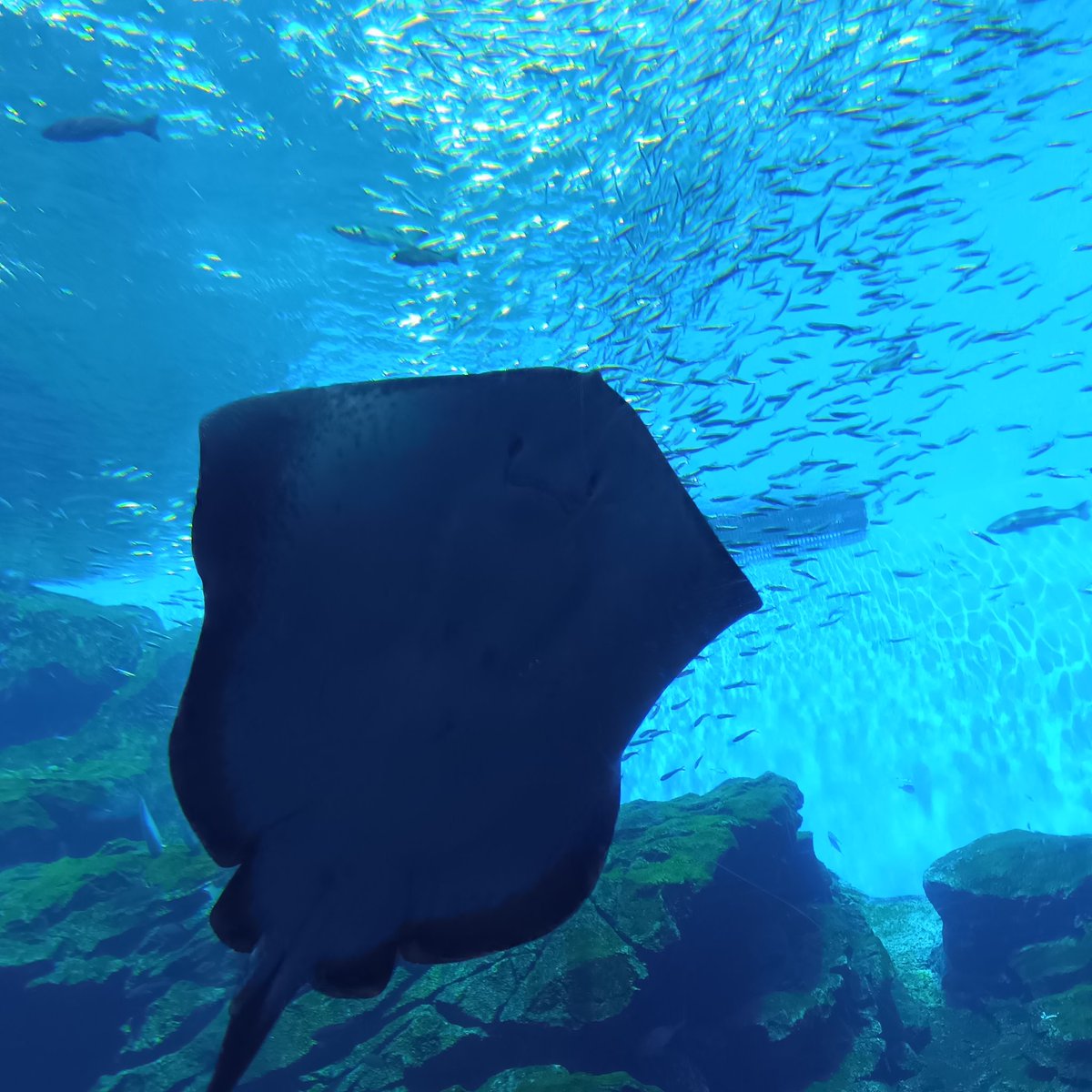 たけ💤 tweet media